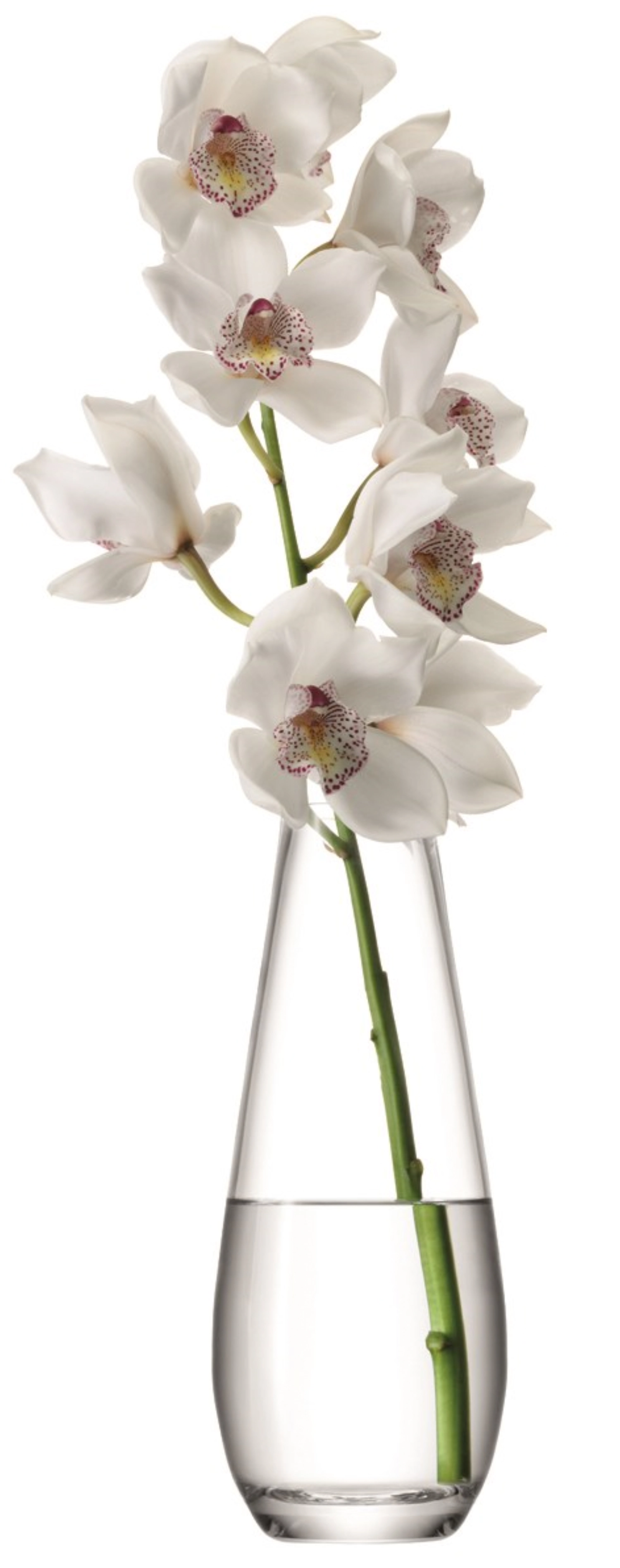 Flower vase pour longues tiges h29cm - clair
