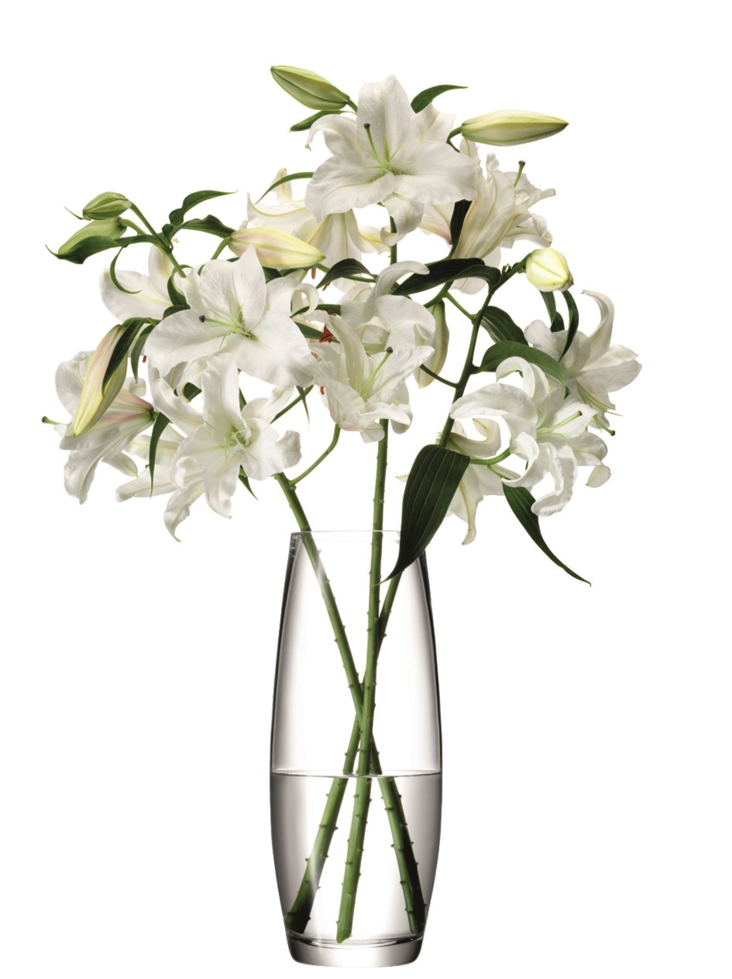 Flower Vase für Langstielblumen