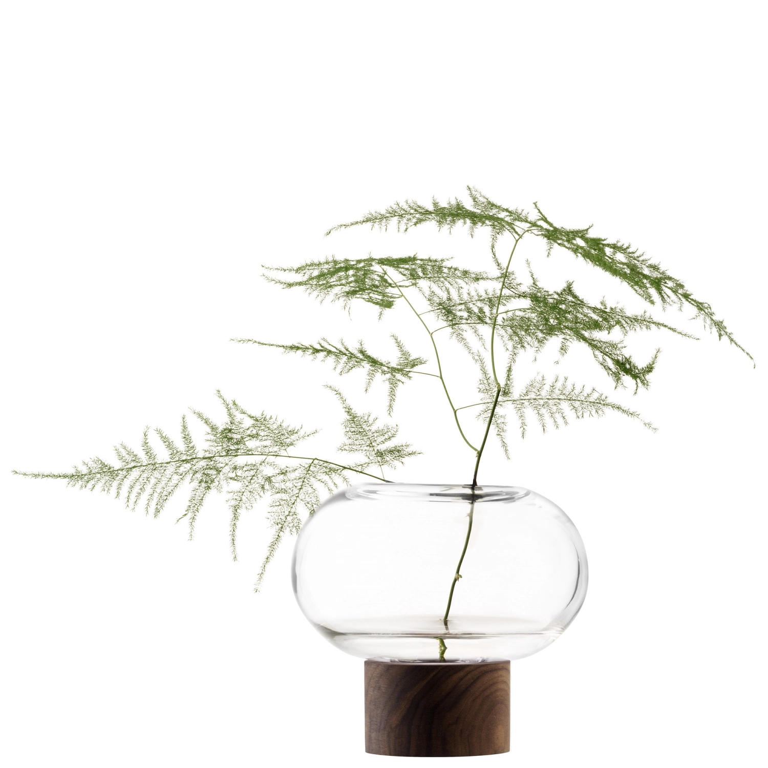 Oblate Vase D15cm, H13.5cm transparent walnuss