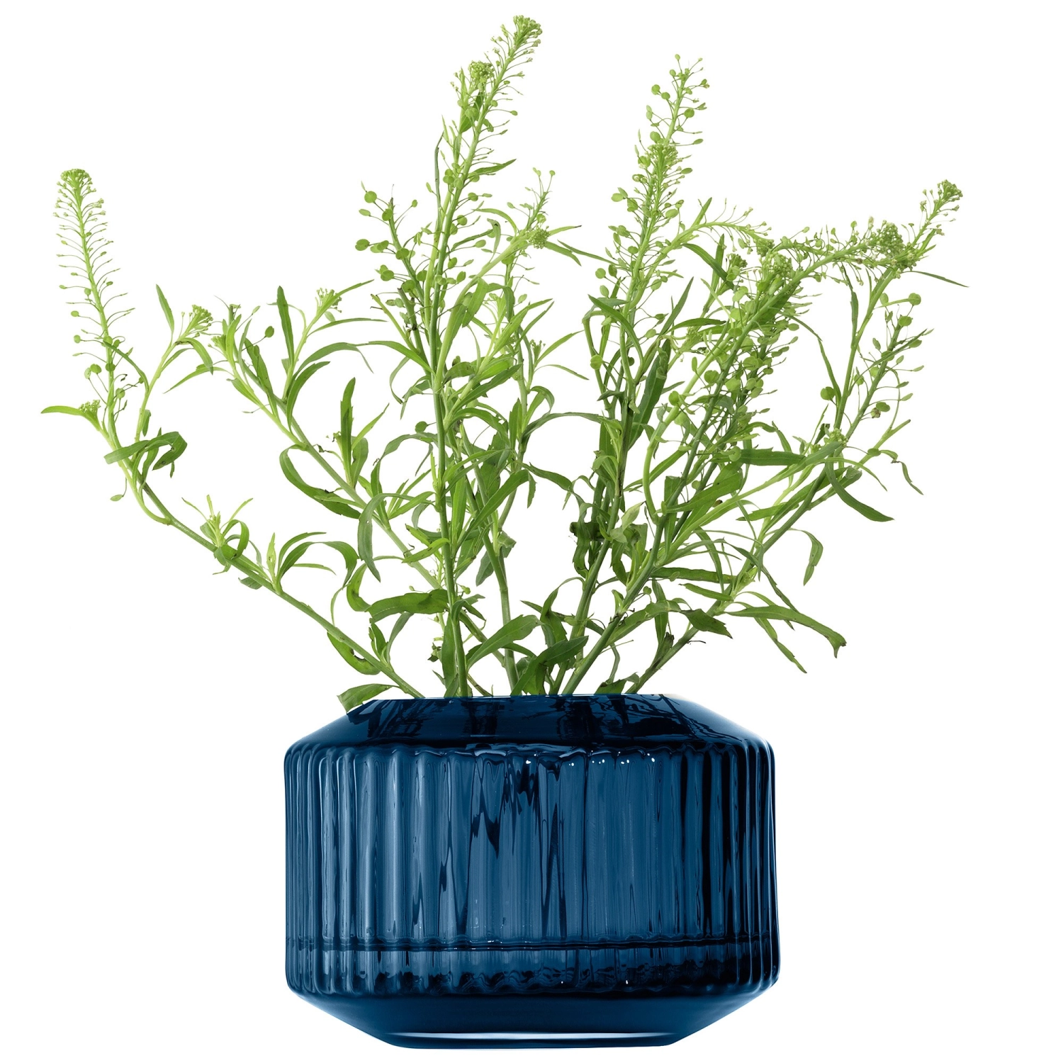 Rotunda photophore/vase h7cm bleu saphir