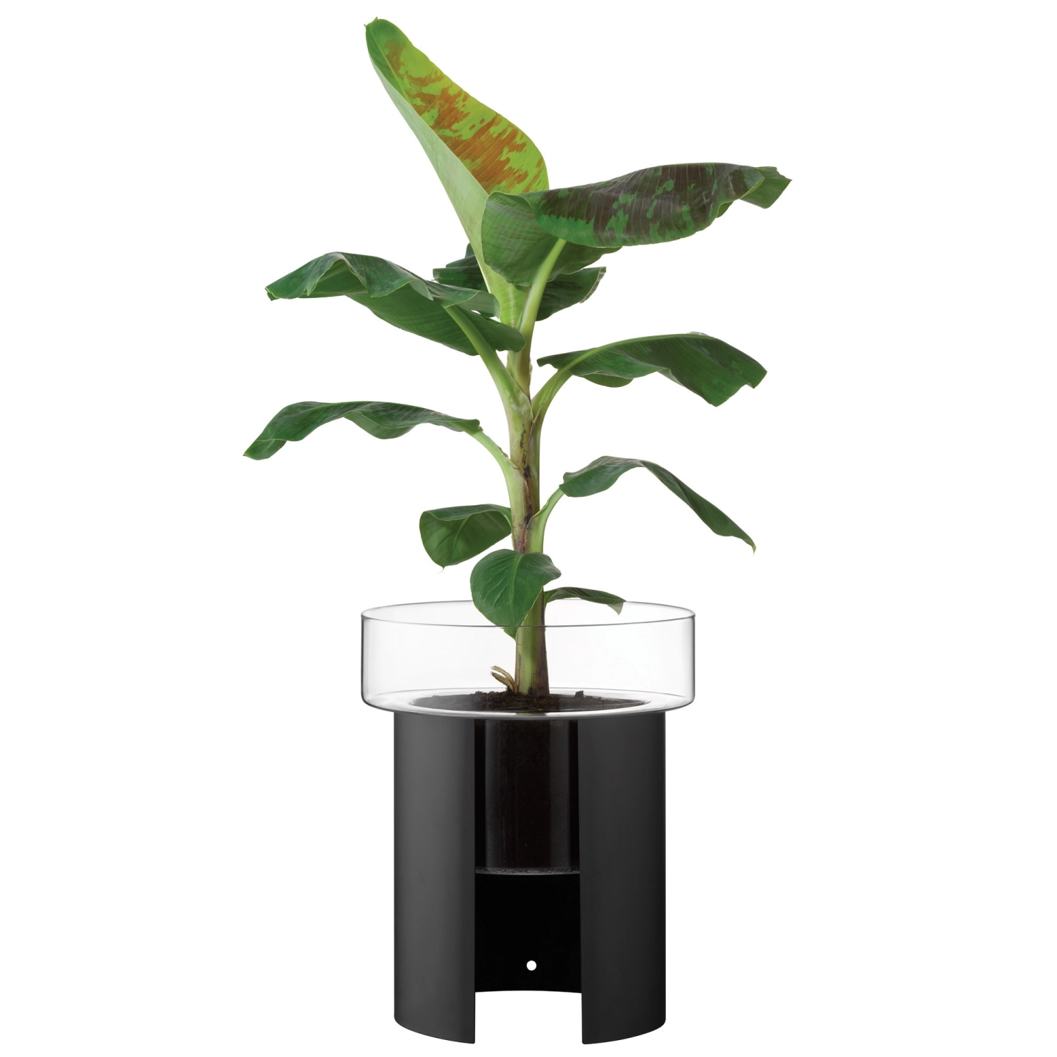 Pot à plantes Terrazza H45 D37 cm clair/noir