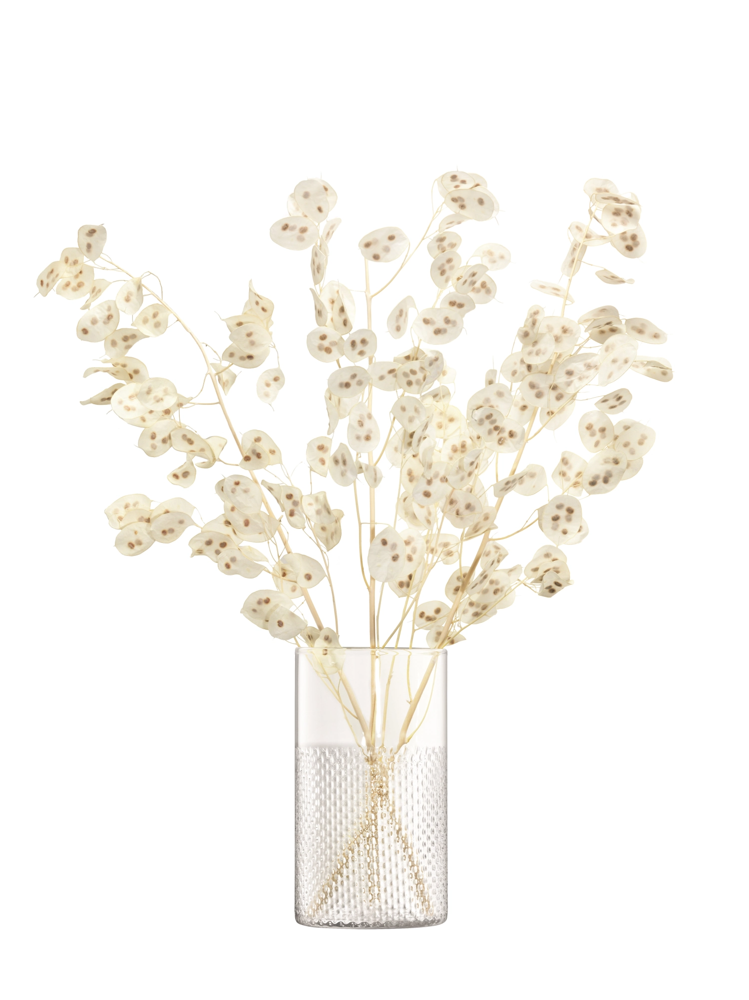 Vase wicker lumière de tempête h25cm clair