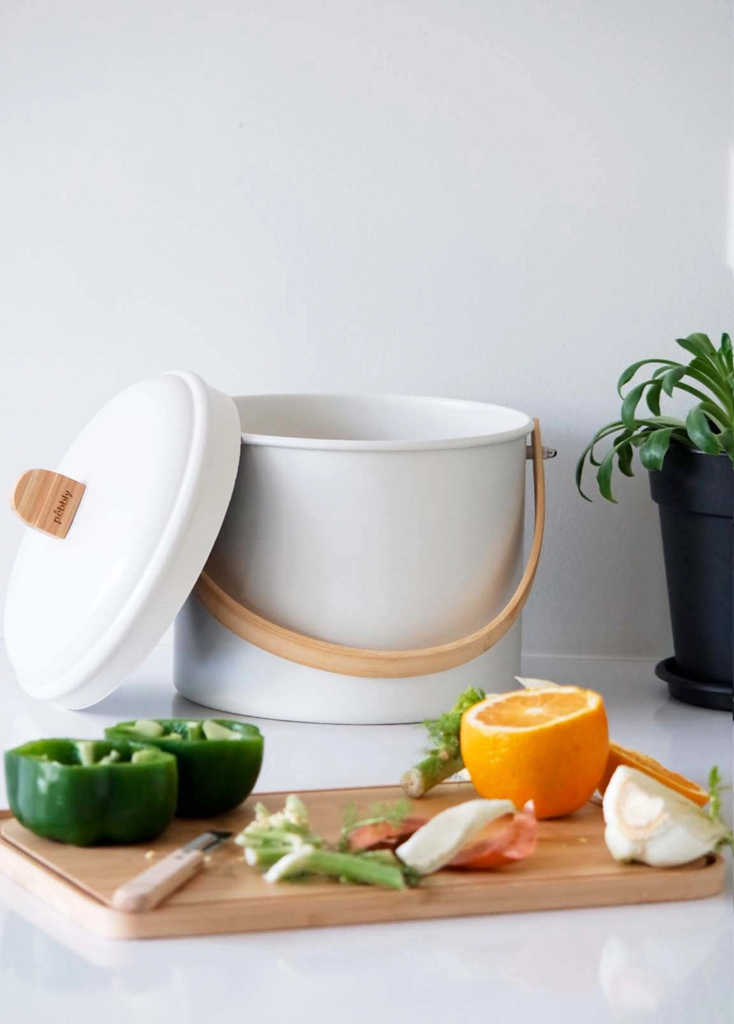 Bac à compost avec filtre à charbon