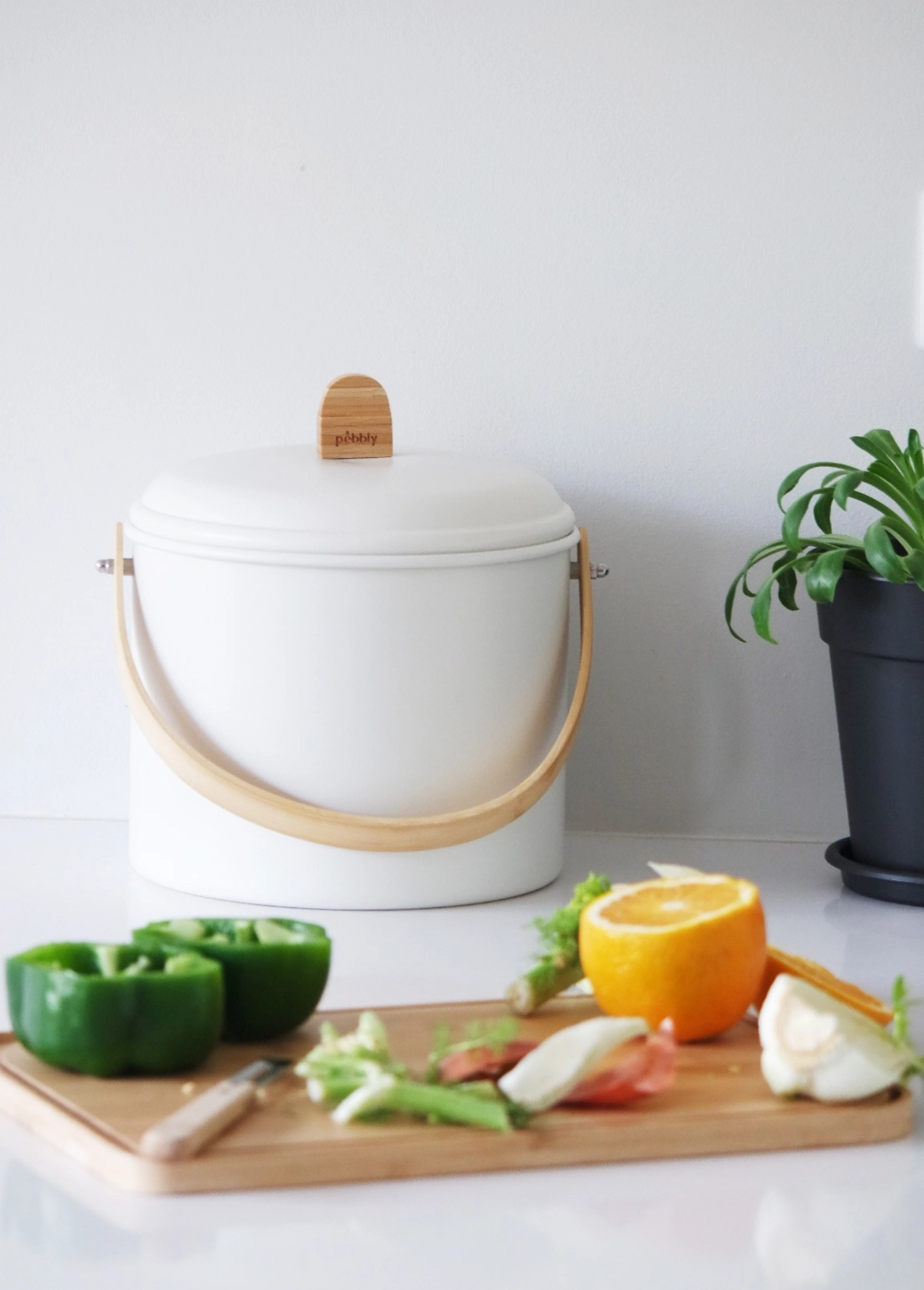 Bac à compost avec filtre à charbon