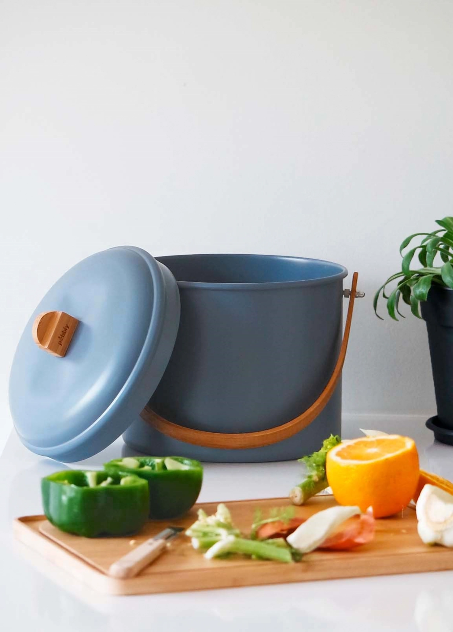 Bac à compost avec filtre à charbon