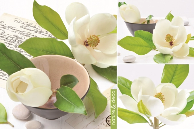 Nature et deco magnolia set de table 45x30cm