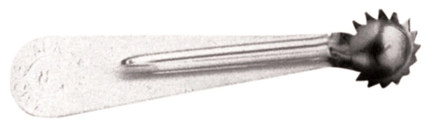 Entstieler Entkerner