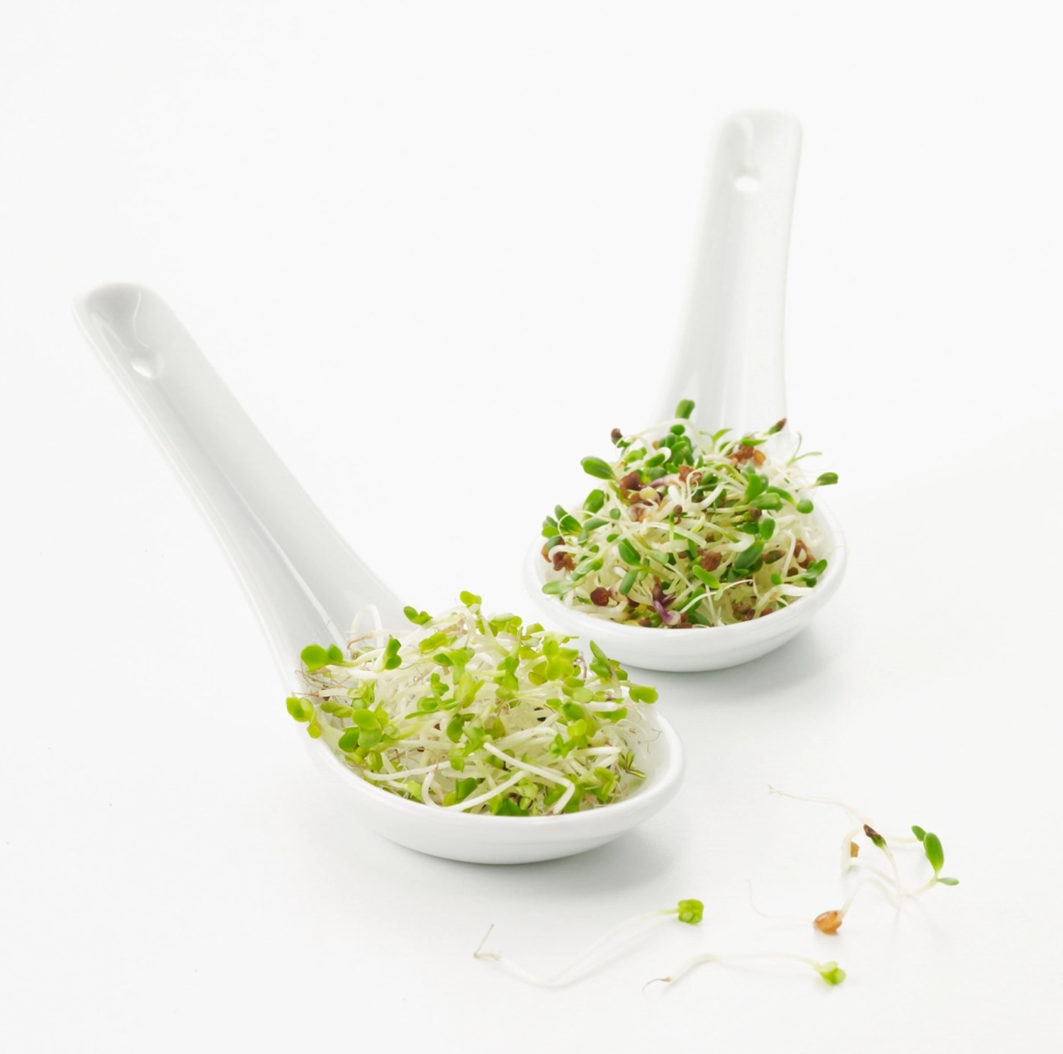 Chinesischer Löffel