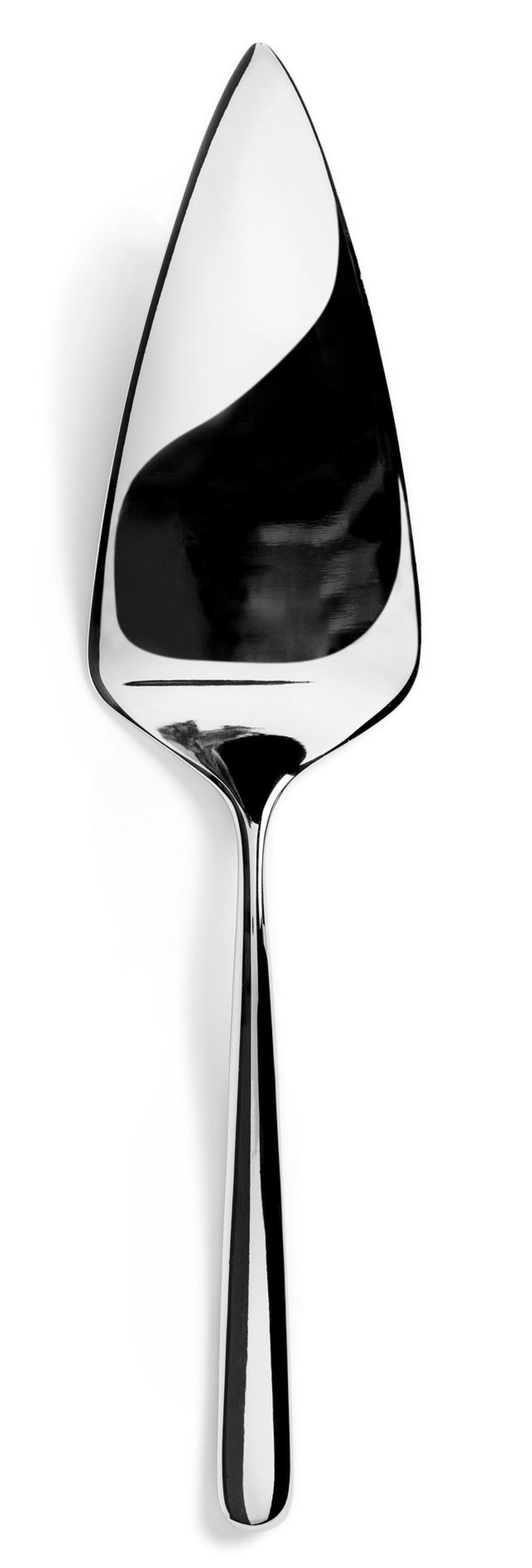 Inspired by Revol Pelle à tarte brillante