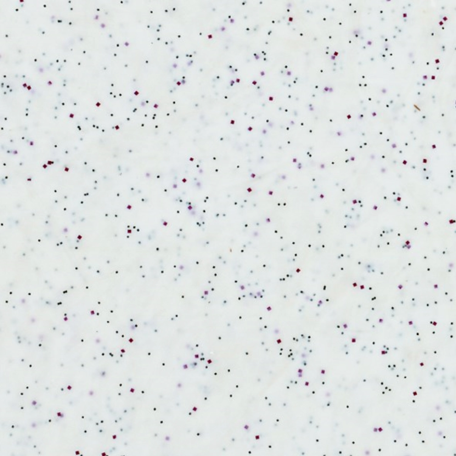 Tablett GN1/2 Polyclassic, Weiss 32.5x26cm