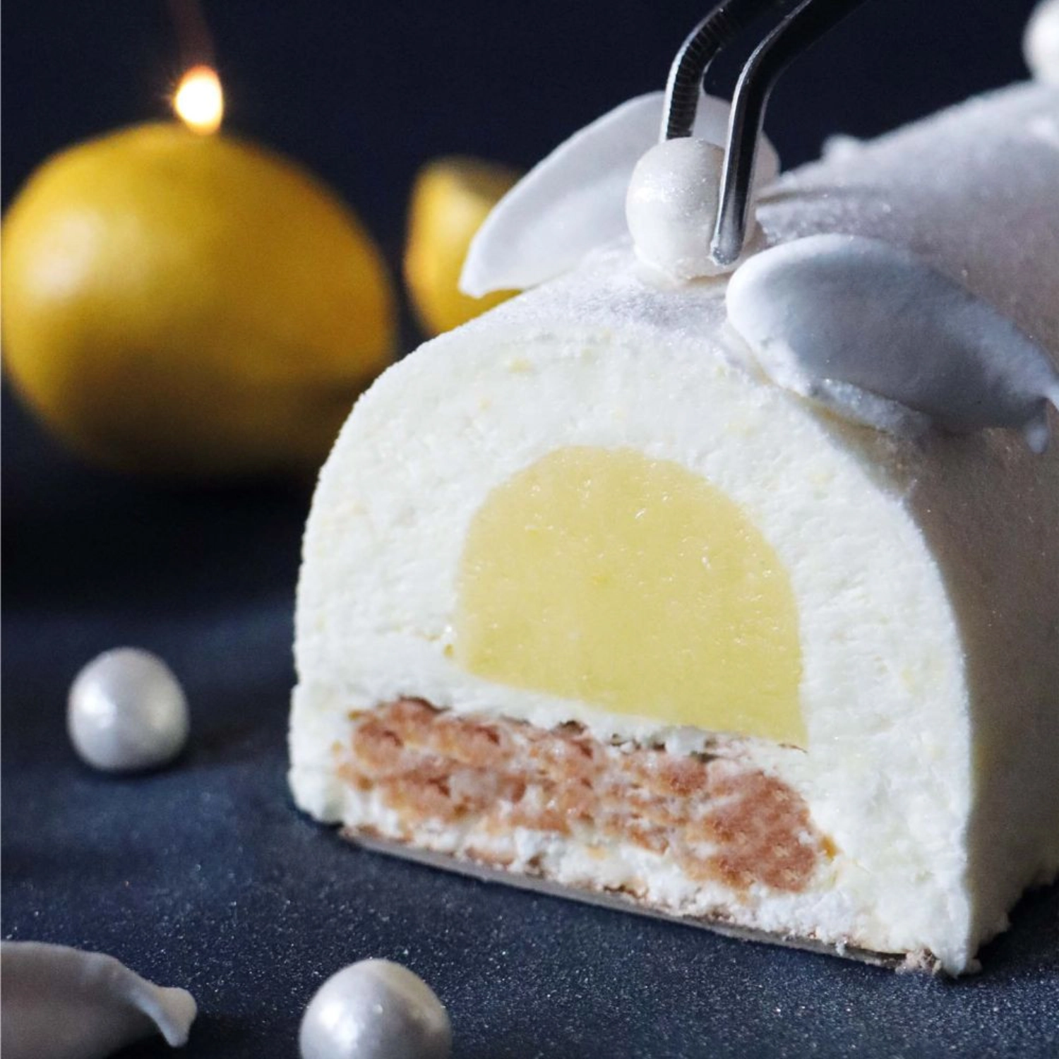 Moule en silicone bûche 25cm