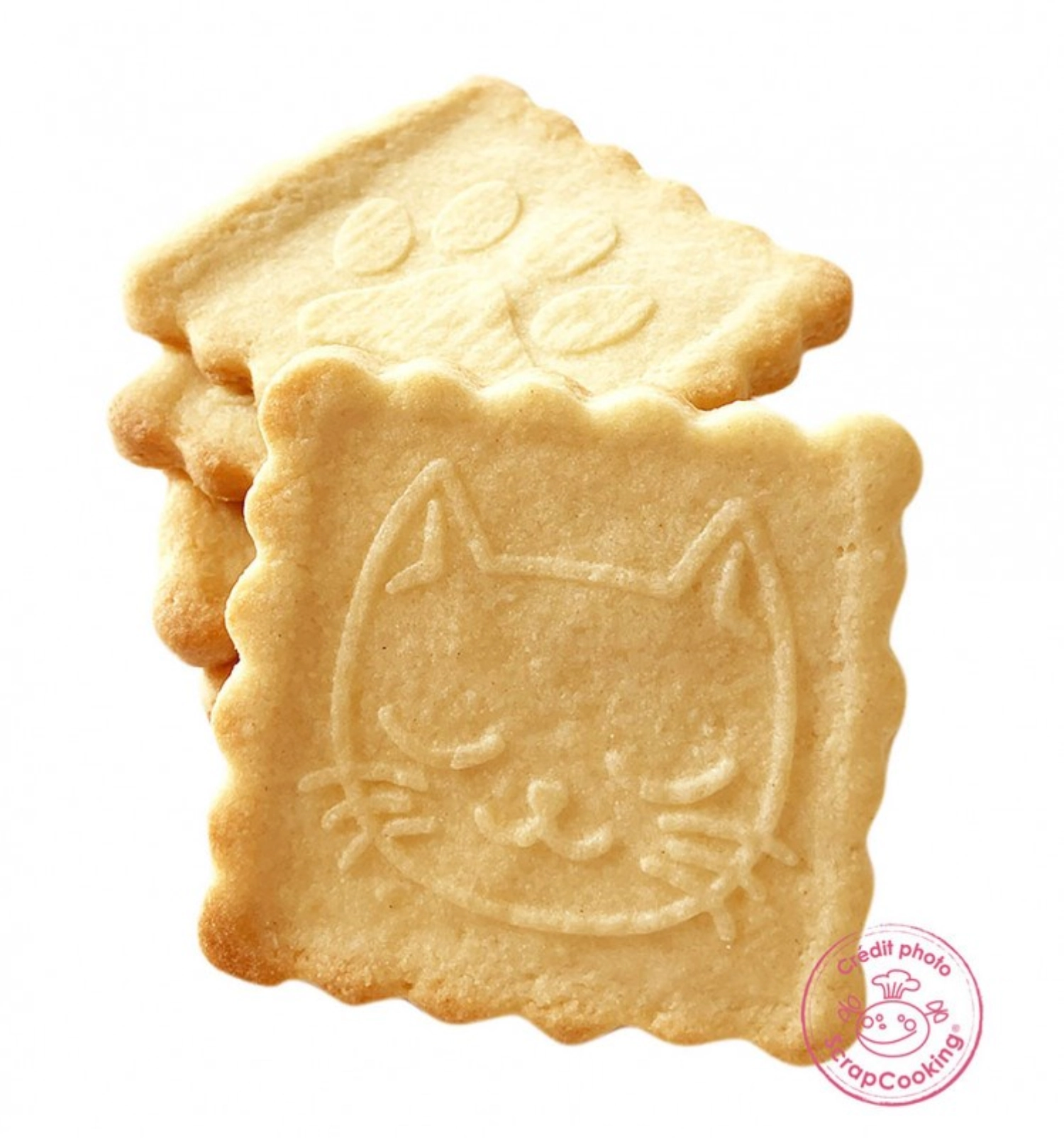 Cookie stamp, emporte-pièce et tampon cubique, chat