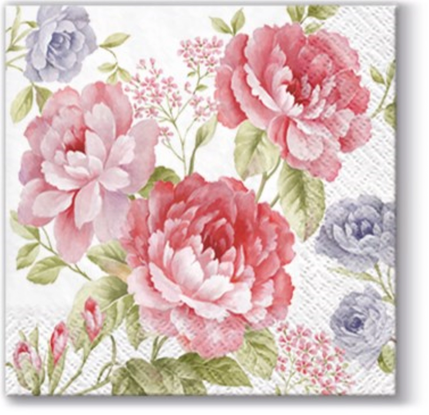 Serviettes cocktail 20x julietta, 25x25 cm