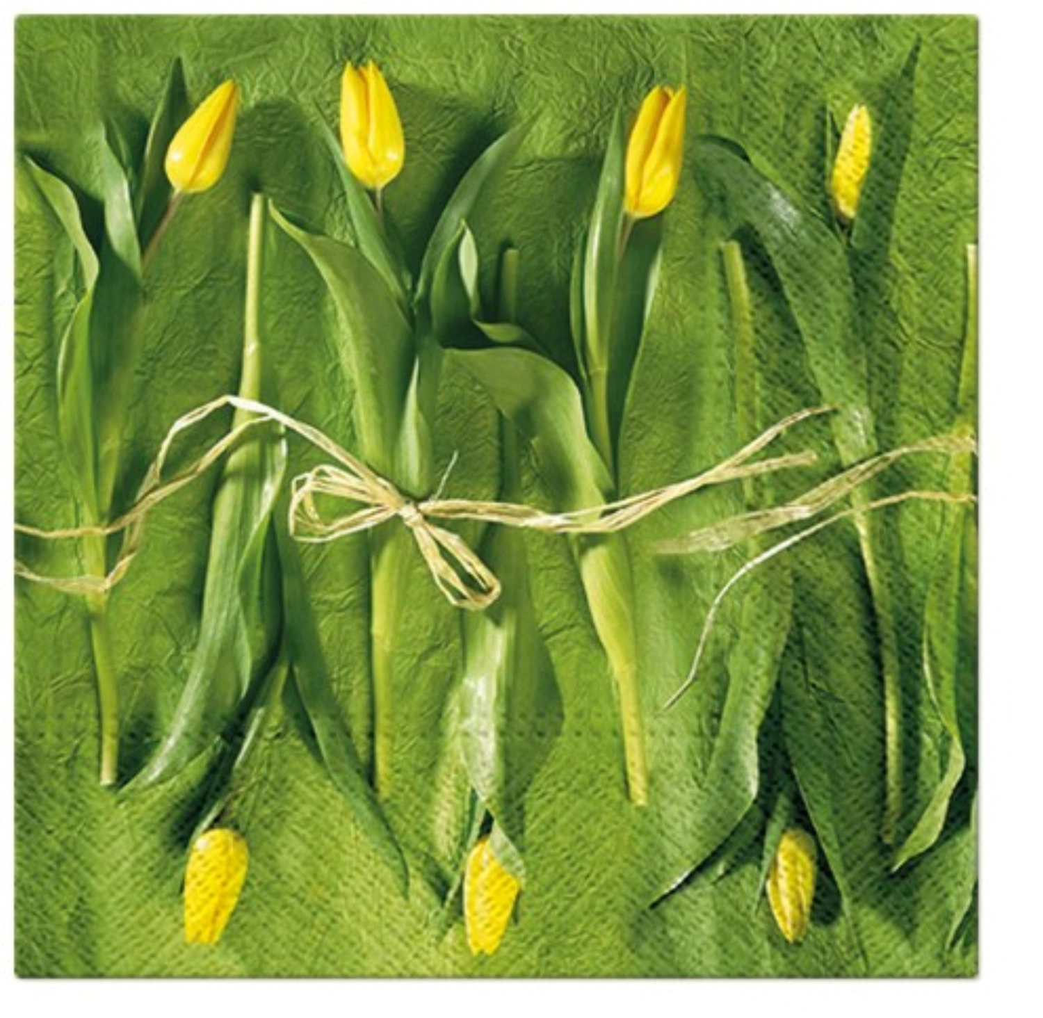 Serviettes lunch 20x fresh tulips, 33x33 cm