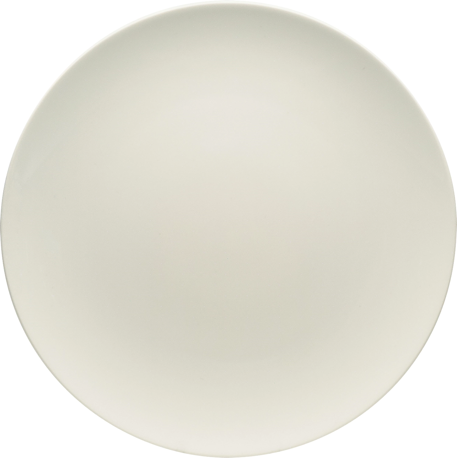 Assiette plate coupe 21cm