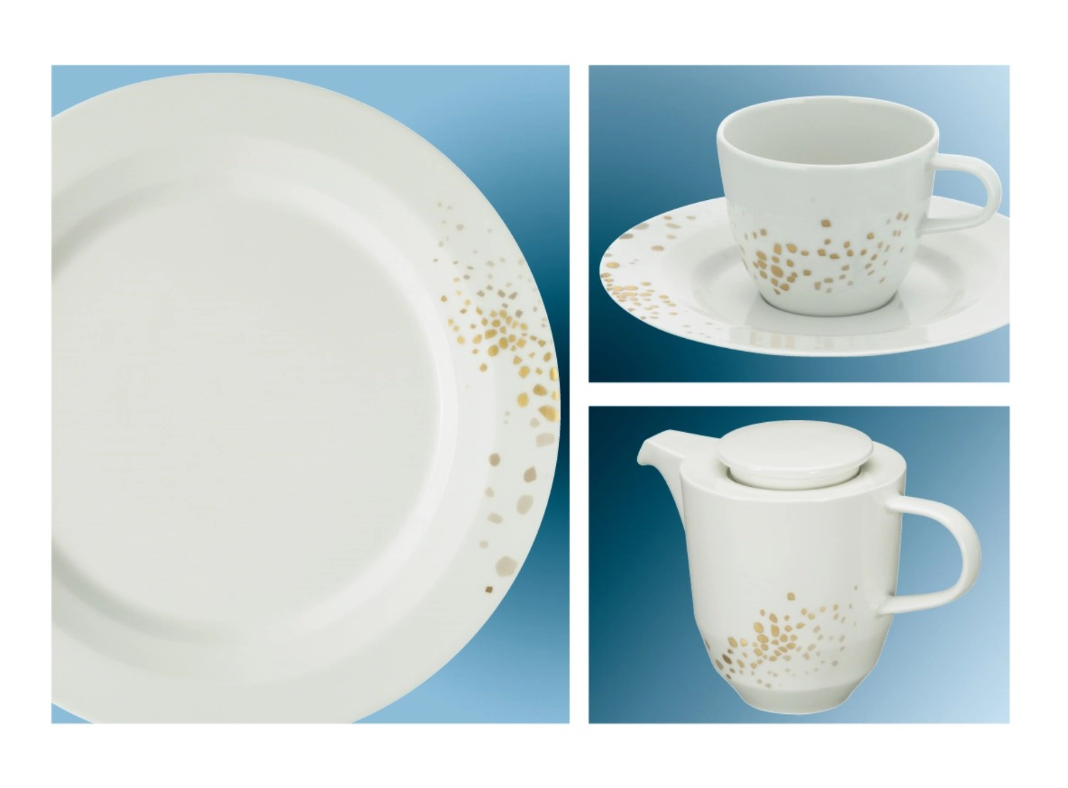 Assiette plate coupe 21cm