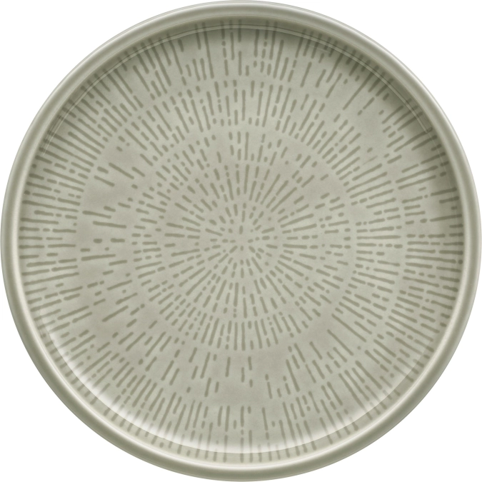 Assiette plate coupe structure 17 steam