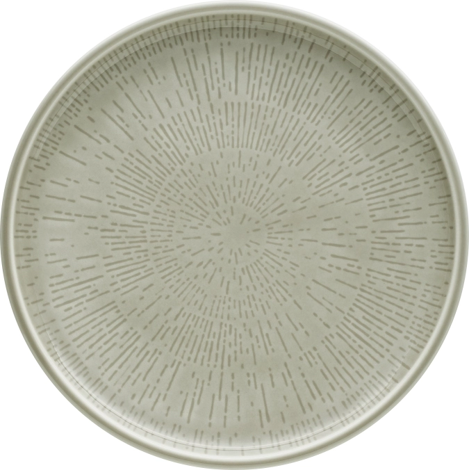 Assiette plate coupe structure 21 steam
