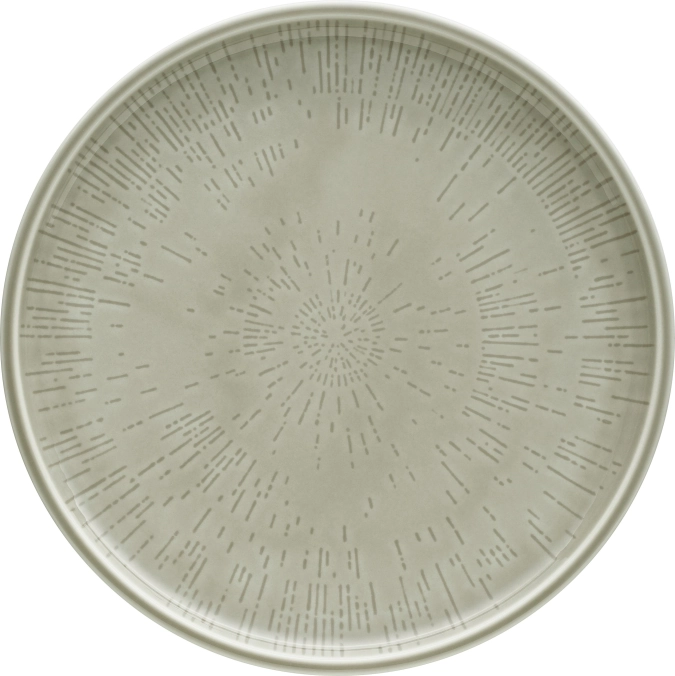 Assiette plate coupe structure 24 steam