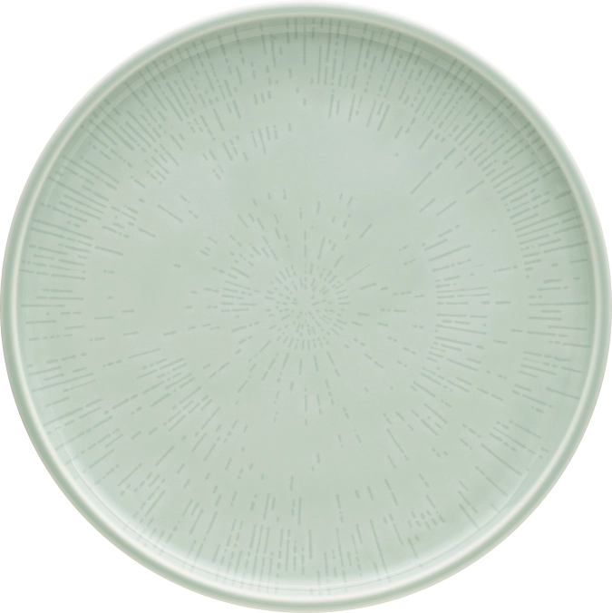 Assiette plate coupe structure 24 frost