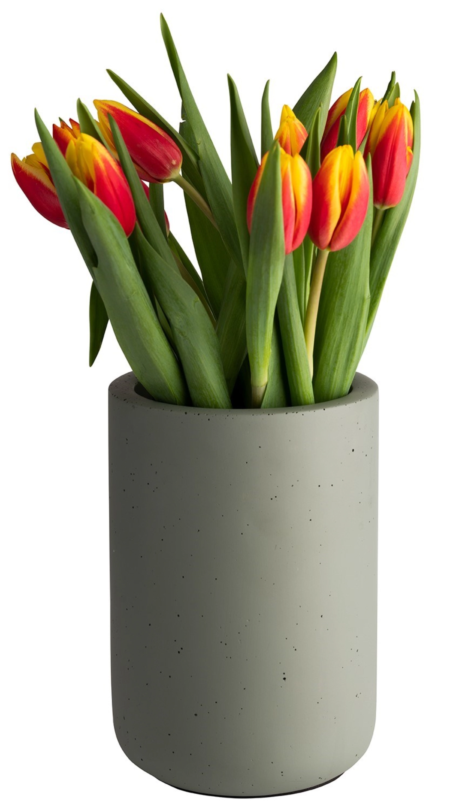 Rafraîchisseur de bouteille ELEMENT