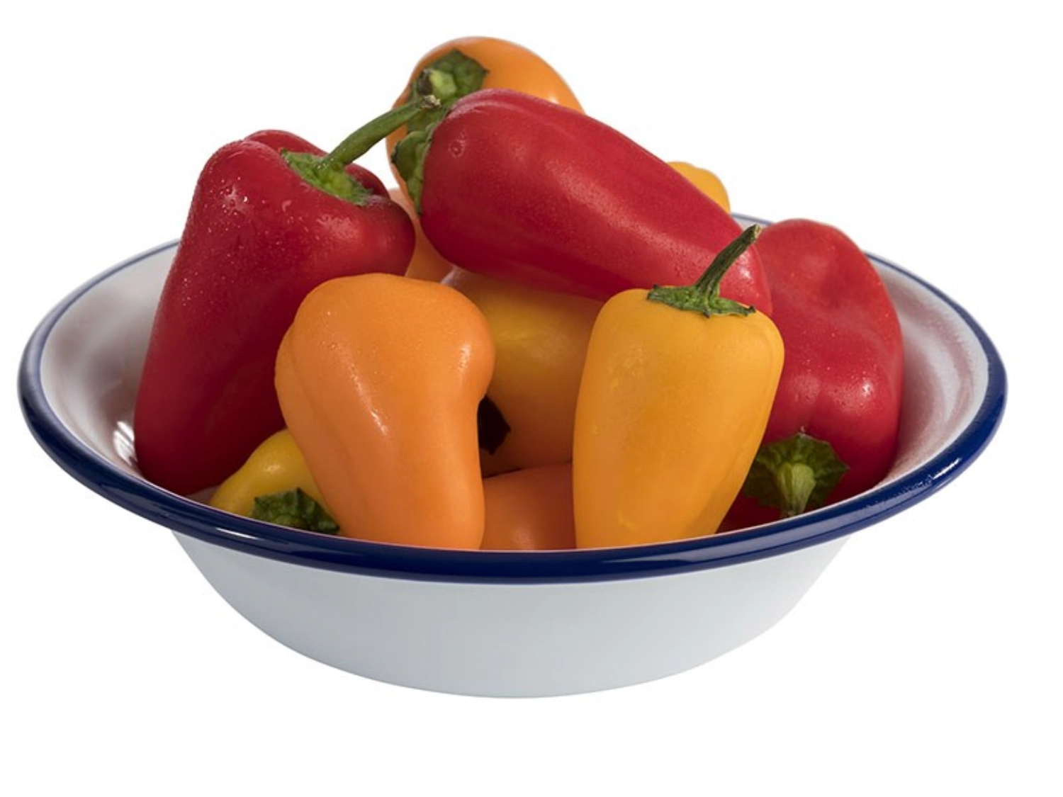 Schale Enamelware D16.5cm H4.5cm 0.45l weiss/blau