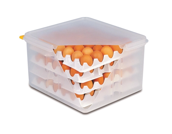Eier-Box GN 2/3, luftdicht, ca. 35.4x32.5cm, H20cm