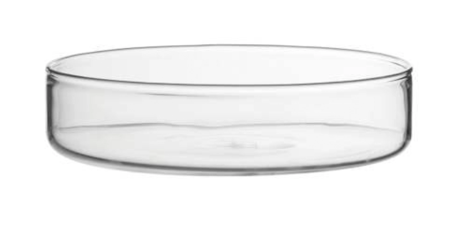 Lot de 12 coupes en verre, verre borosilicaté, D10.5cm, H2.5