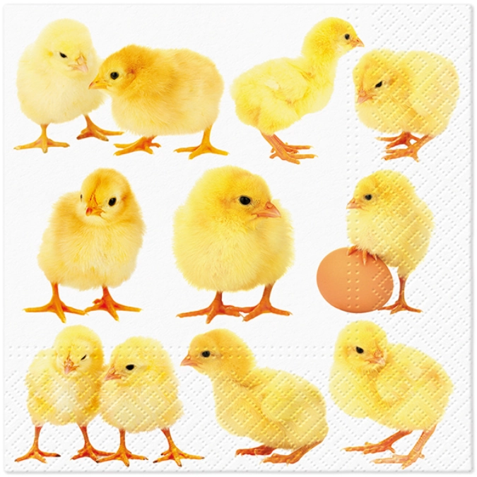 Servietten Lunch 20x Little Chickens, 33x33cm