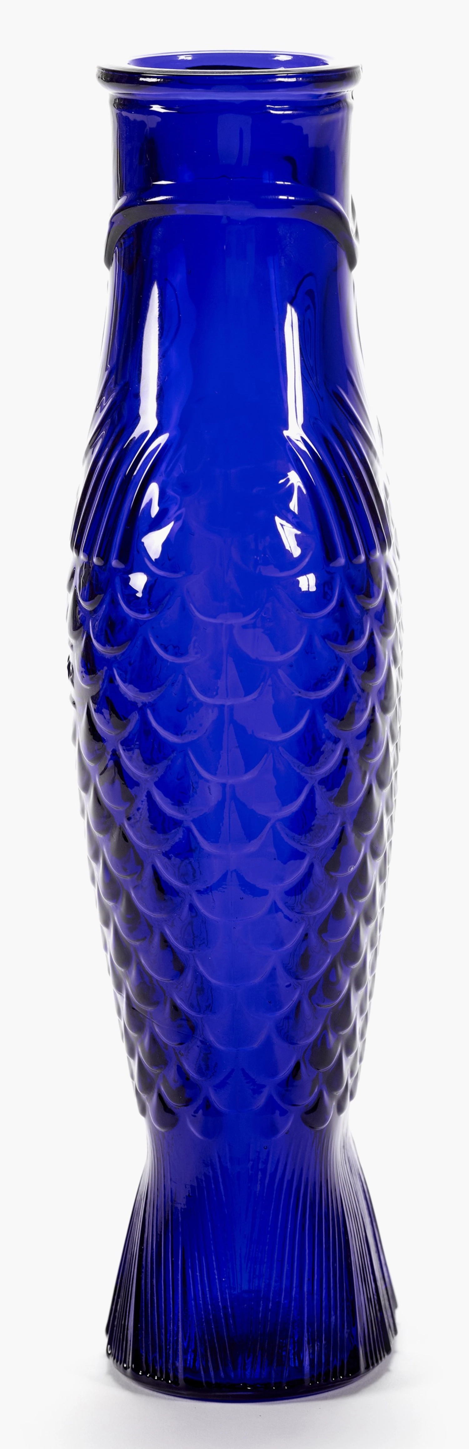 P. Navone Fish & Fish Flasche 1l blau