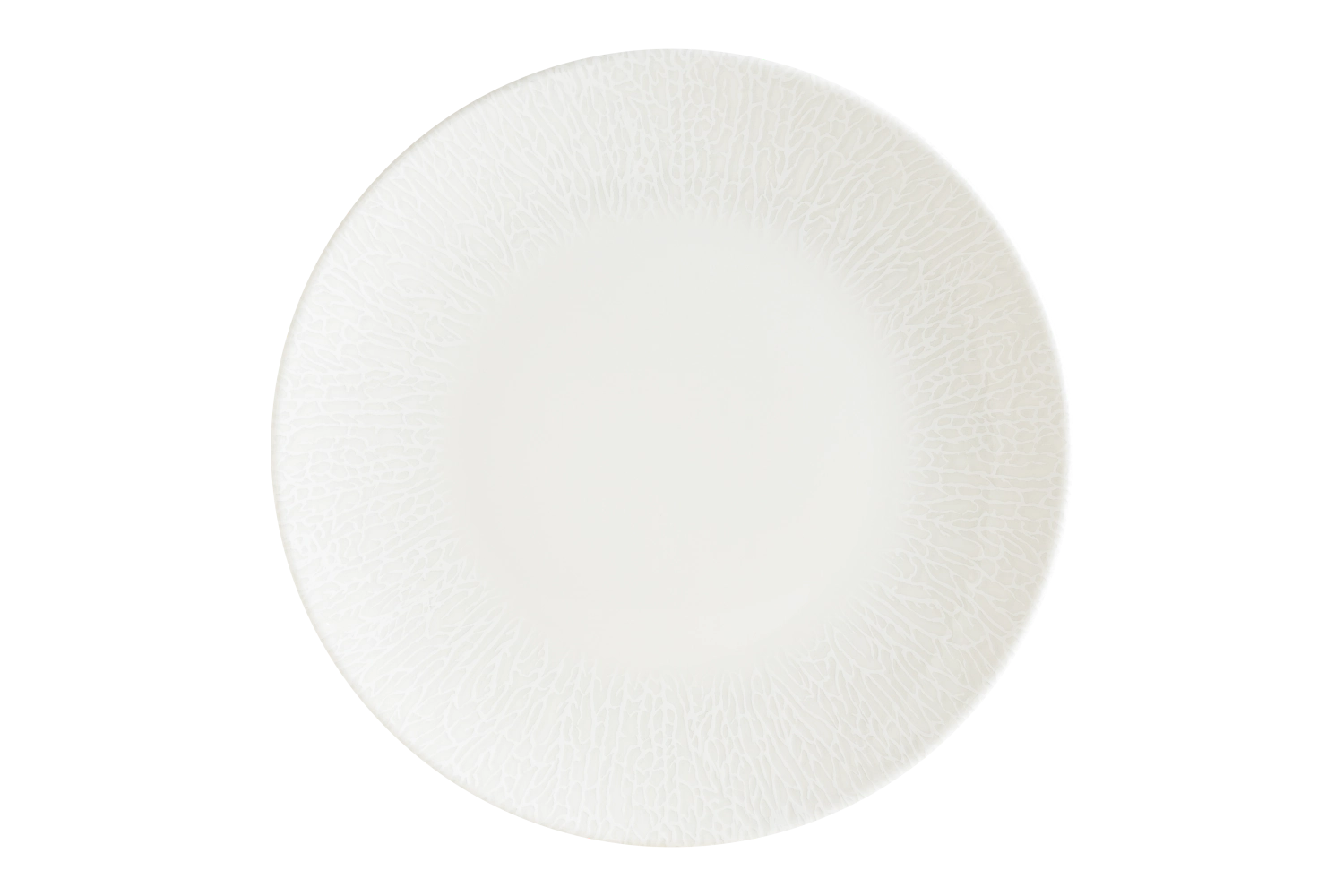 Radix Gourmet Assiette plate D27cm