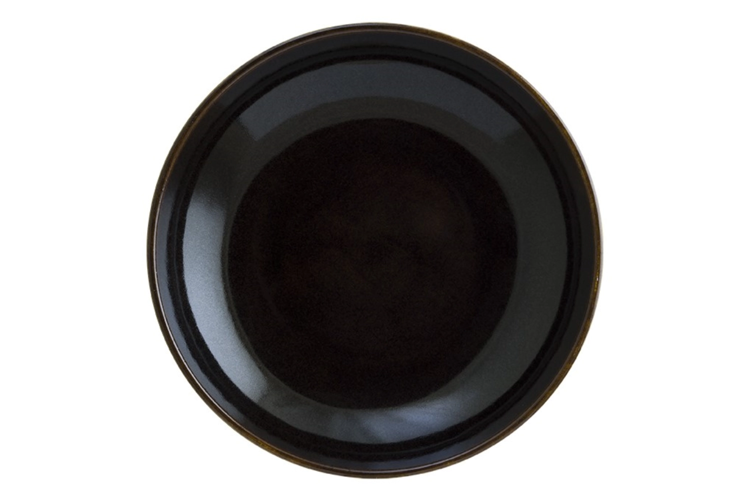 Bol Moss Sphere Soil D11cm 264ml