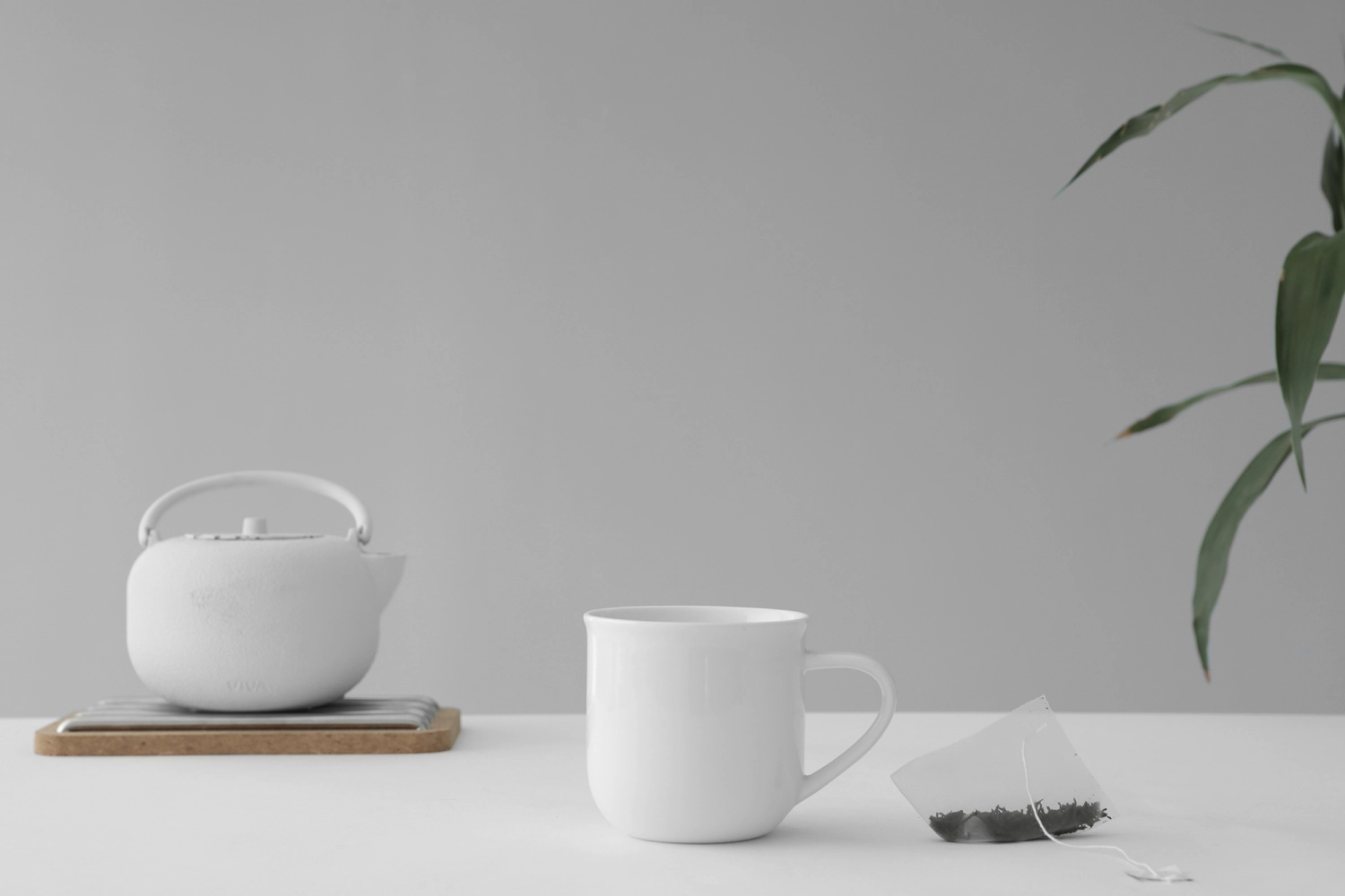Lot de 2 tasses Minima Eva