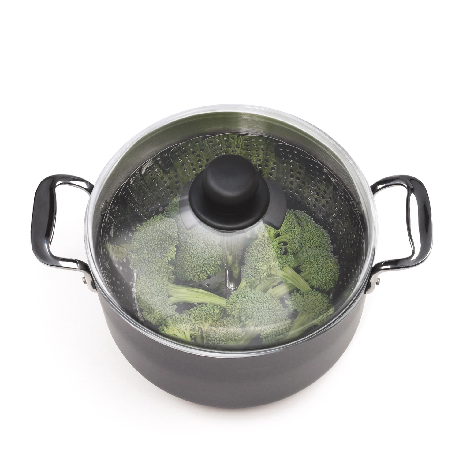 GG Steamer avec manche extensible