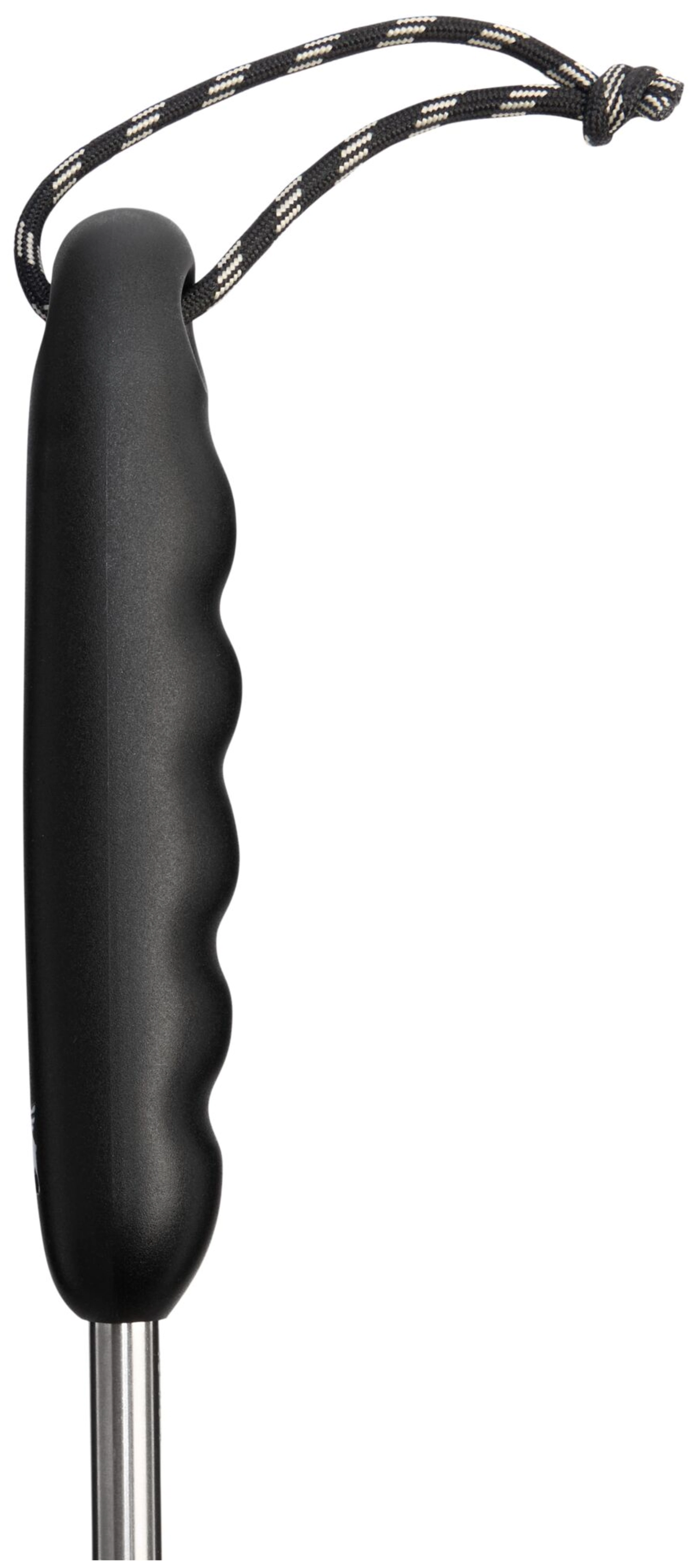 Classic Reinigungsbürste