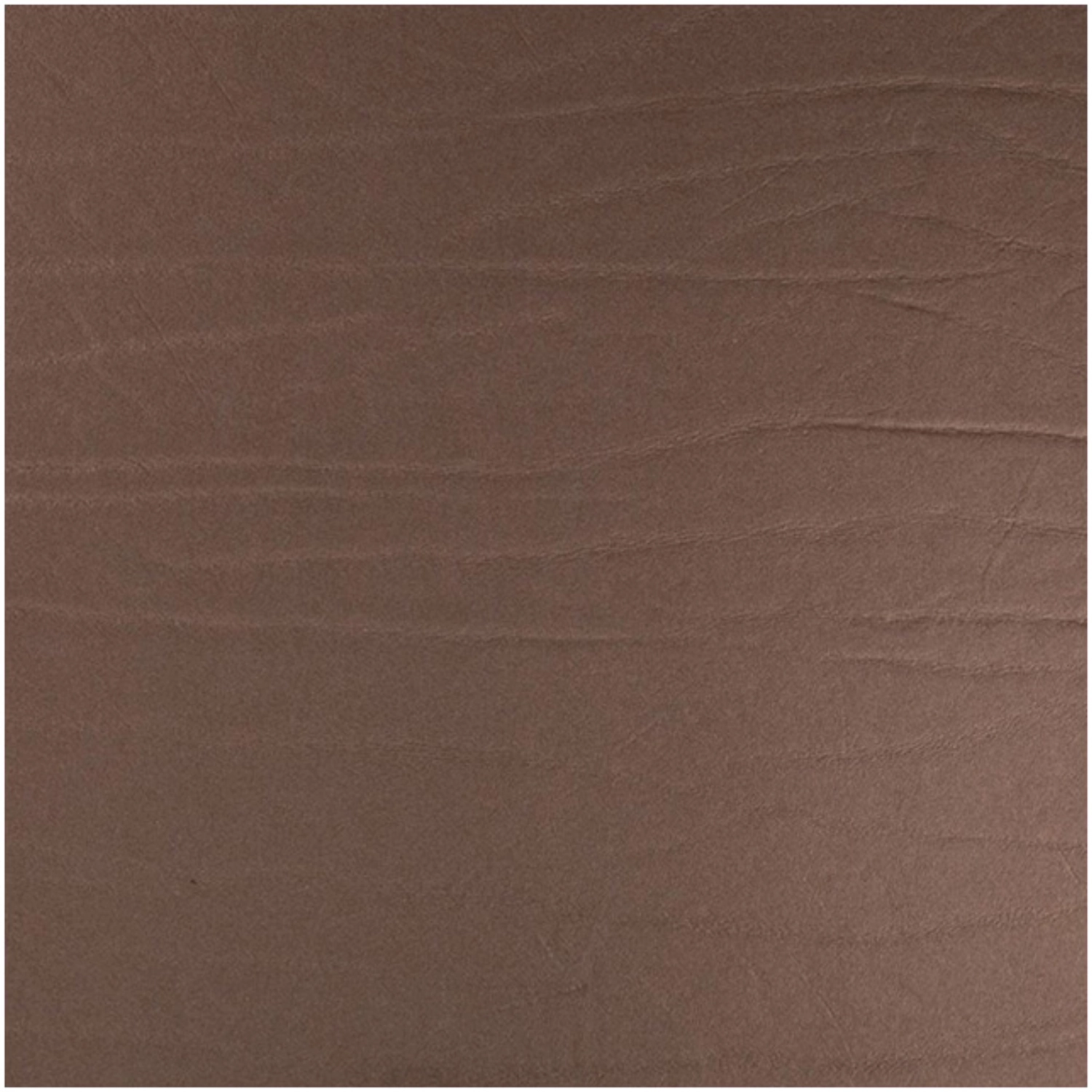 Dumbo Dessous de verre