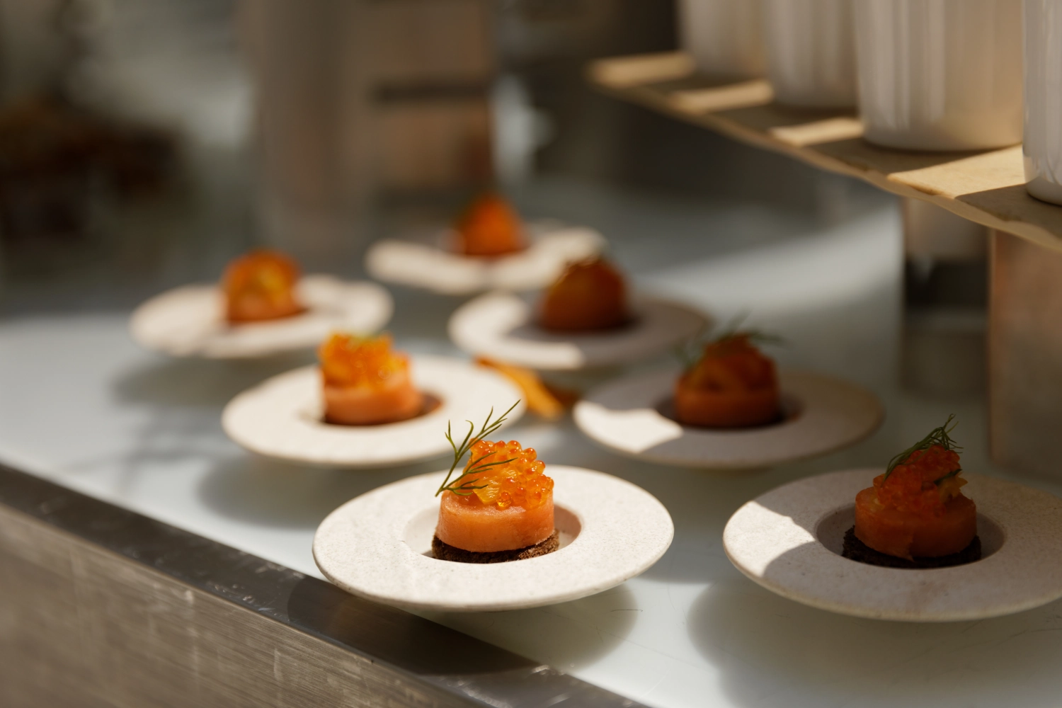 Nature Light Gourmetteller