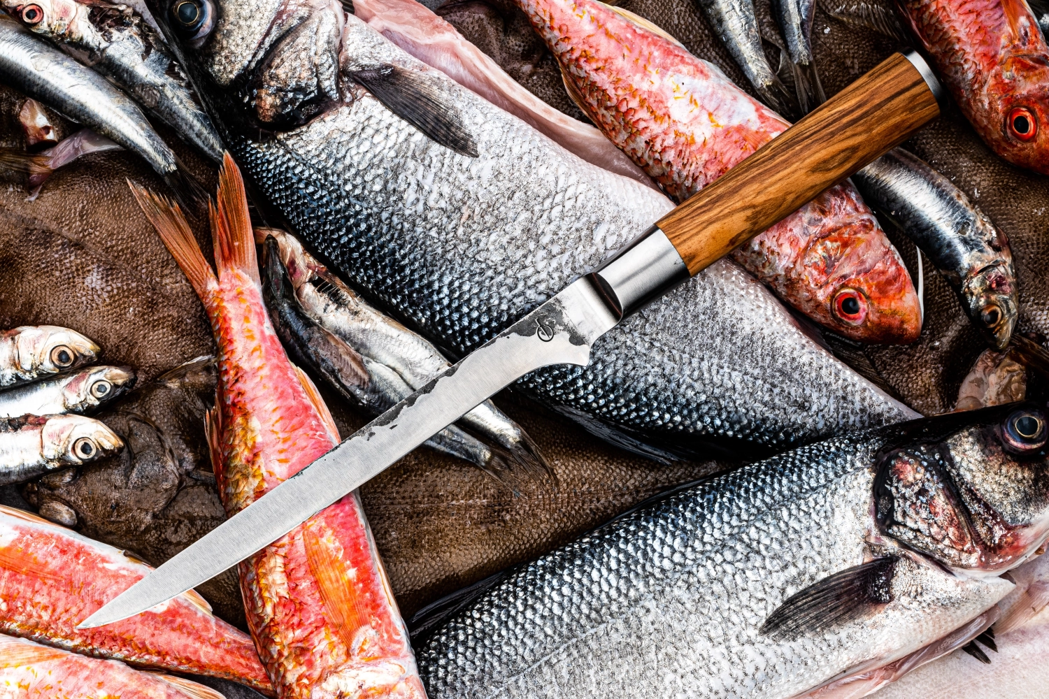 Couteau à fileter Forged Olive Vis