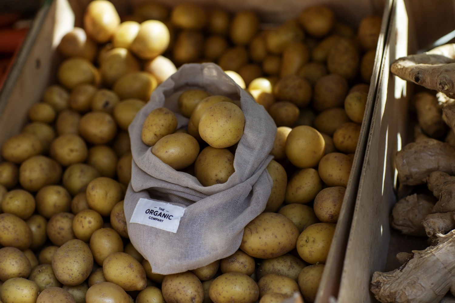 Food bag 3er Set Beutel