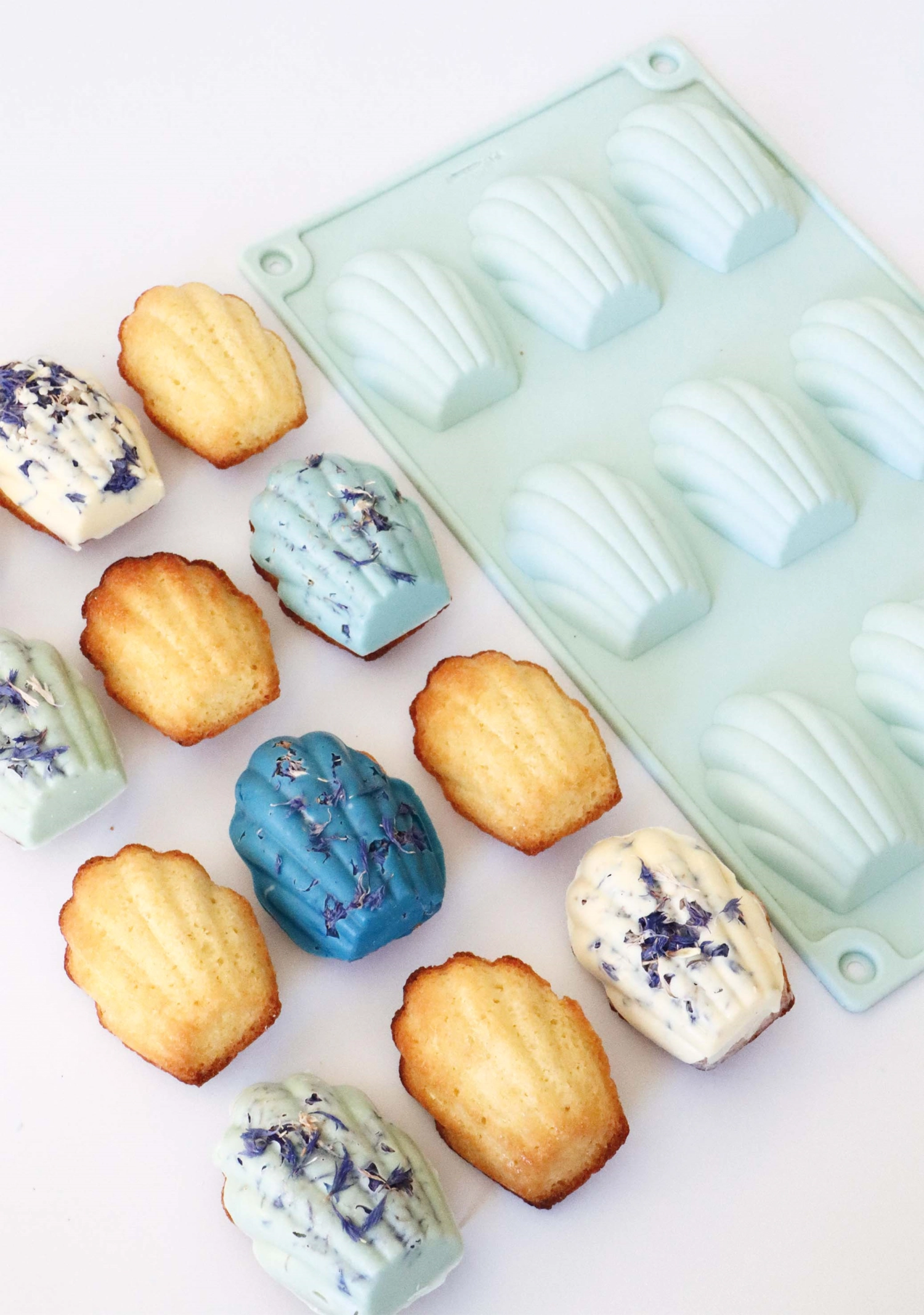 Décoration bleuet séché