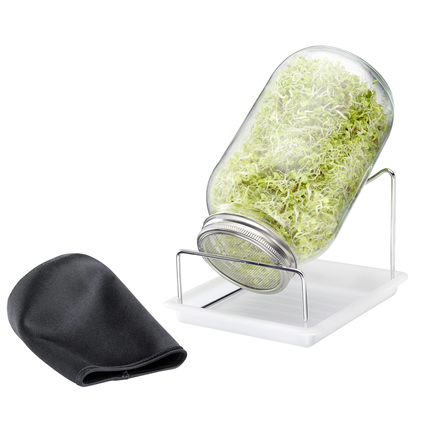 Sprossenglas-Set, 1 Glas