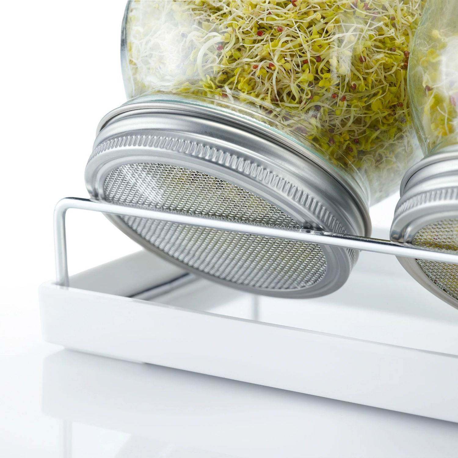 Sprossenglas-Set, 2 Gläser