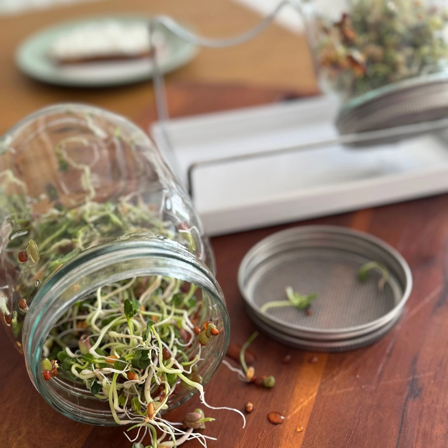 Sprossenglas-Set, 2 Gläser