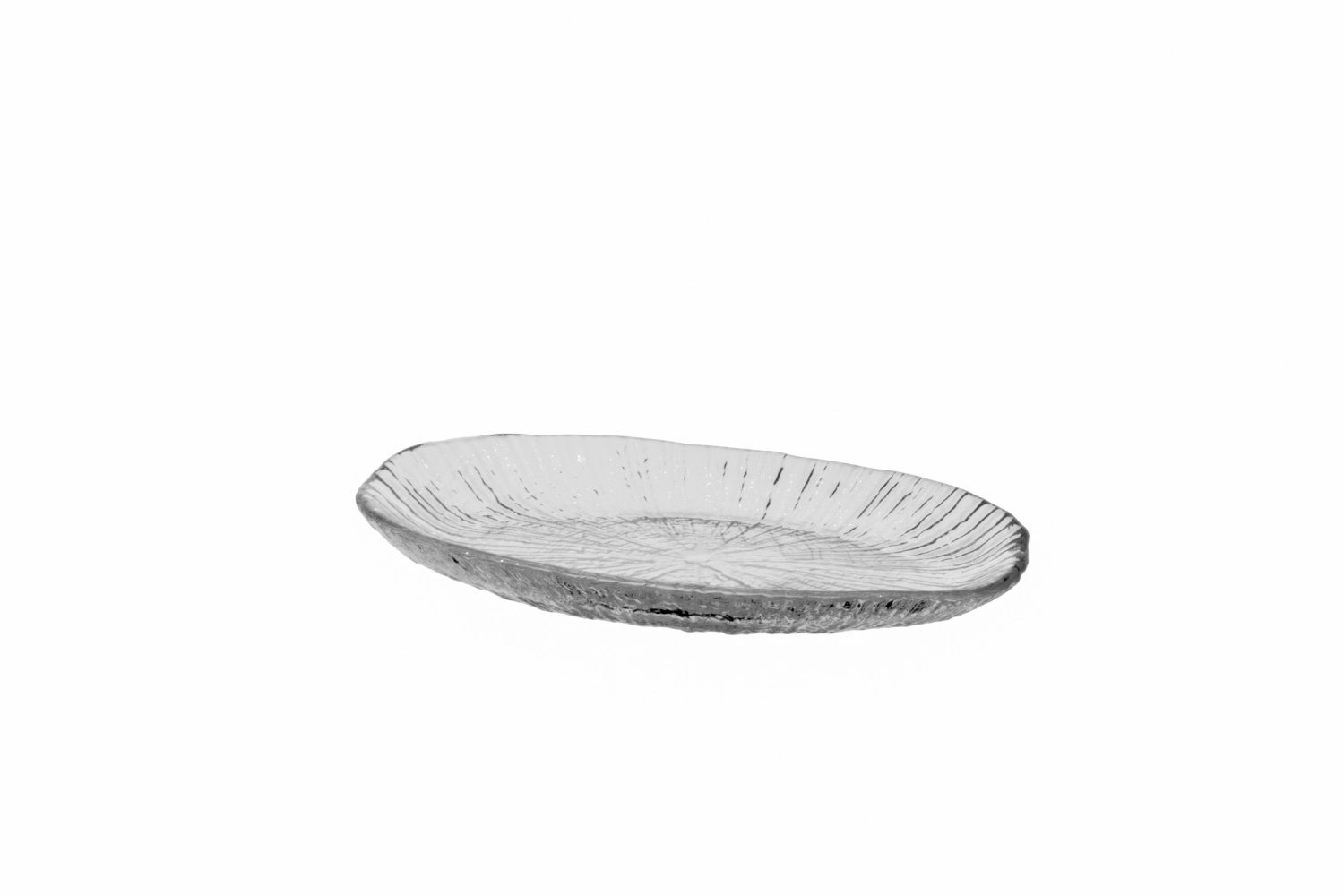 Focus Assiette ovale