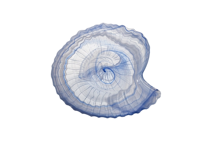 Seasnail Assiette