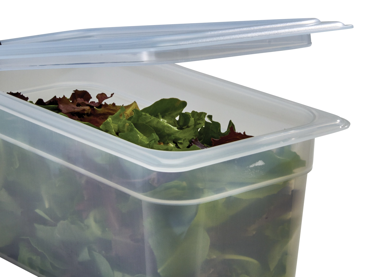 Bacs GN 1/4-100mm PP