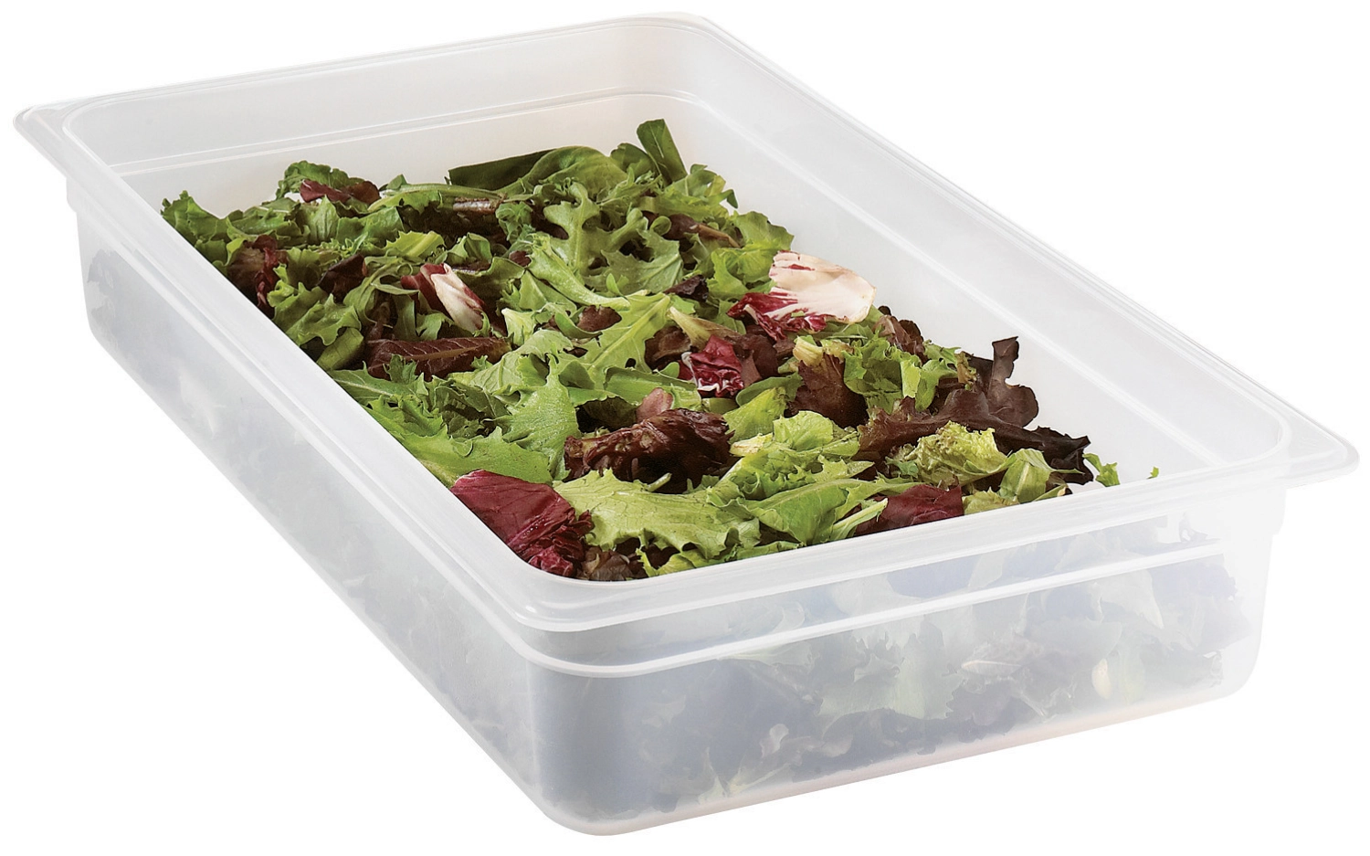 Bacs GN 1/1-100mm PP