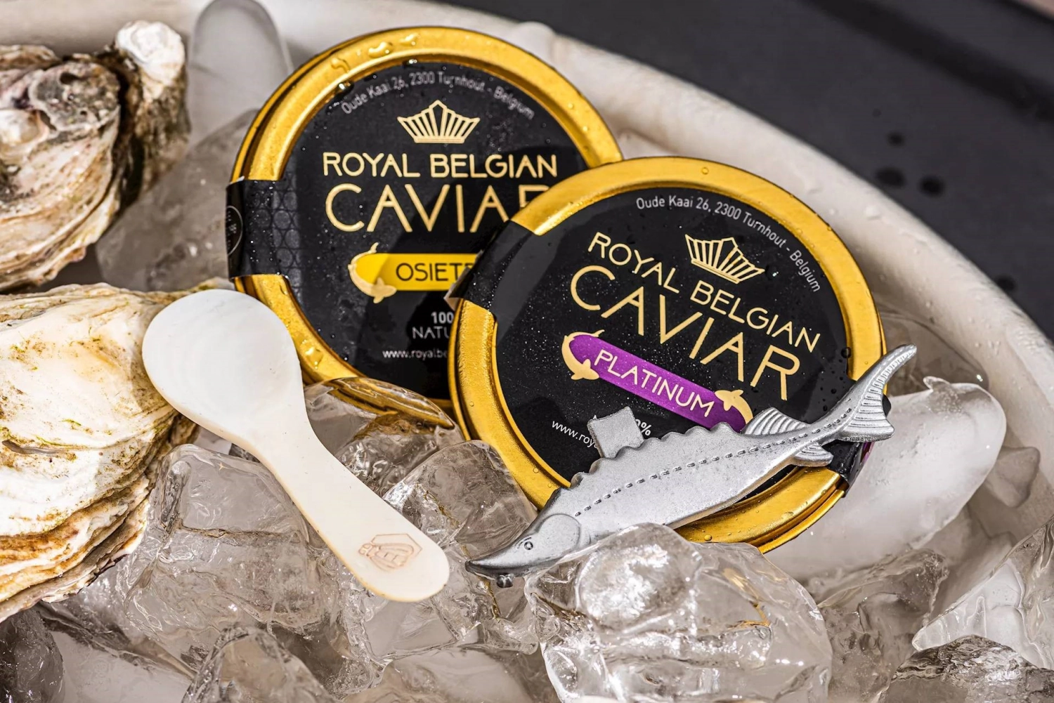Coffret cadeau caviar, champagne et huîtres