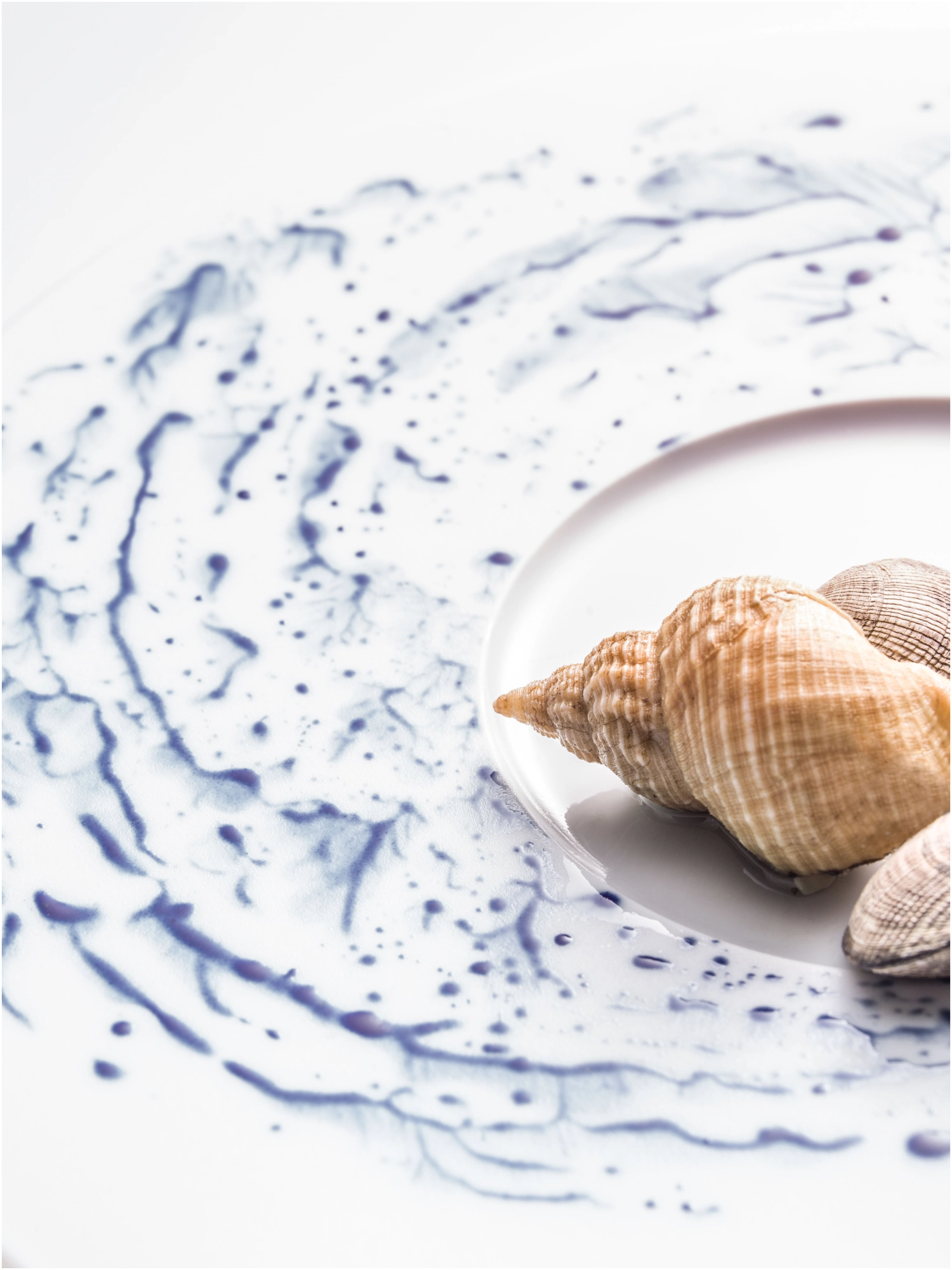 Blue Impression assiette