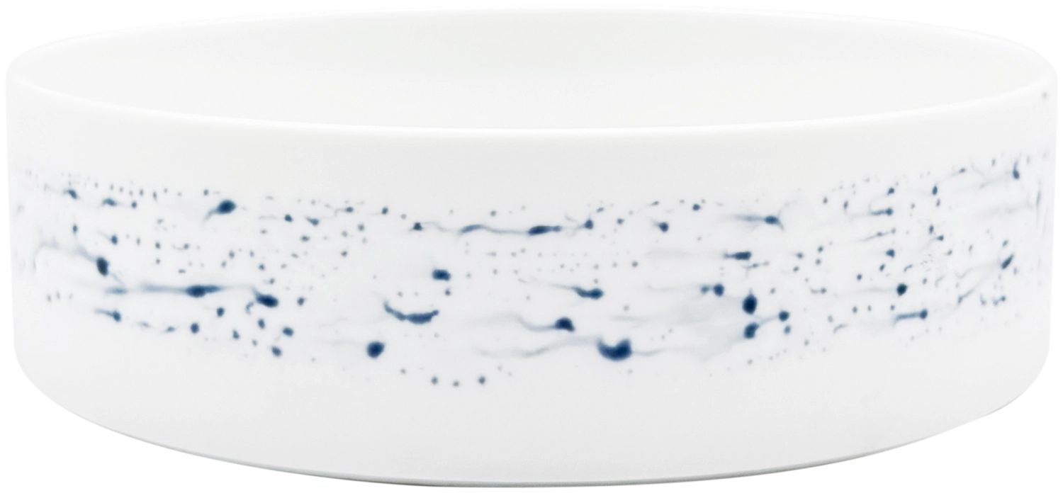 Blue Impression Schale